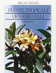 Piante tropicali ornamentali usato  Spedito ovunque in Italia 