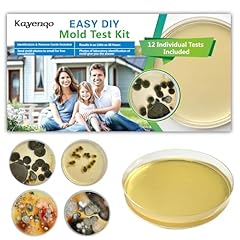 Mold test kit for sale  Delivered anywhere in USA 