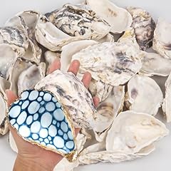 15pcs oyster shells for sale  Delivered anywhere in USA 