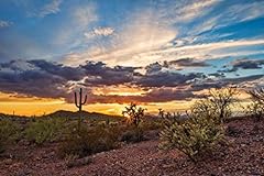 Colorful sonoran desert for sale  Delivered anywhere in USA 