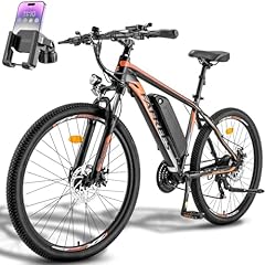 Fafrees bicicletta elettrica usato  Spedito ovunque in Italia 