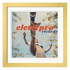Eletecpro 15x15 album for sale  Delivered anywhere in USA 