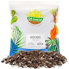 Avocado tree potting for sale  Delivered anywhere in USA 