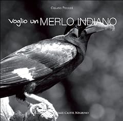 Voglio merlo indiano usato  Spedito ovunque in Italia 