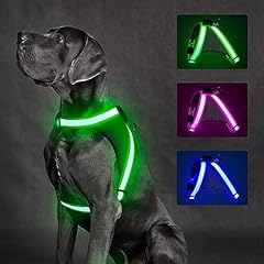 Chalklit light dog for sale  Delivered anywhere in USA 