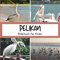 Bilderbuch kinder pelikan gebraucht kaufen  Wird an jeden Ort in Deutschland