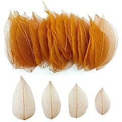 Haobin pezzi foglie usato  Spedito ovunque in Italia 
