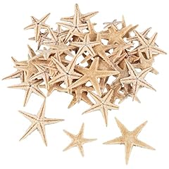 Bordhap small starfish for sale  Delivered anywhere in UK