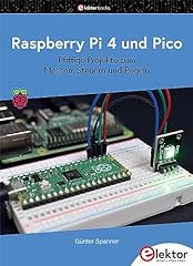 Raspberry pico pfiffige gebraucht kaufen  Wird an jeden Ort in Deutschland