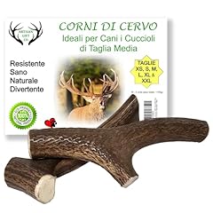 Artisan gift corno usato  Spedito ovunque in Italia 