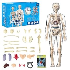 Golgner human body gebraucht kaufen  Wird an jeden Ort in Deutschland