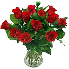 Clare florist red for sale  Delivered anywhere in UK