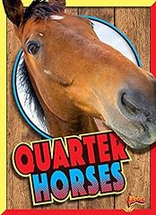 Quarter horses d'occasion  Livré partout en France