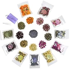 Natural dried flowers for sale  Delivered anywhere in UK