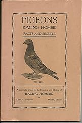 Pigeons racing homer for sale  Delivered anywhere in USA 