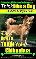 Chihuahua chihuahua training for sale  Delivered anywhere in USA 