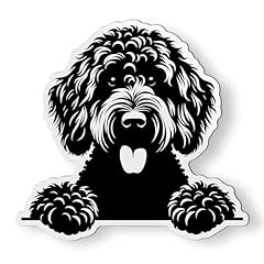 Peeking black goldendoodle for sale  Delivered anywhere in USA 
