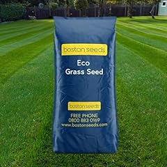 Boston seeds fast for sale  Delivered anywhere in UK