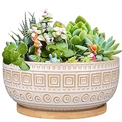 Epgardening inch ceramic for sale  Delivered anywhere in USA 
