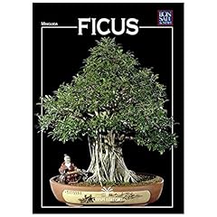 bonsai ficus d'occasion bonsai ficus d'occasion Livré partout en France