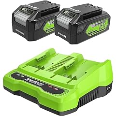 Greenworks batterie 24v usato  Spedito ovunque in Italia 