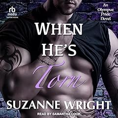 Torn olympus pride for sale  Delivered anywhere in UK