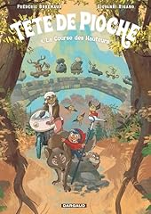 tete pioche d'occasion tete pioche d'occasion Livré partout en France