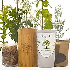 Living urn bio for sale  Delivered anywhere in USA 
