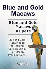 Blue gold macaws. for sale  Delivered anywhere in UK