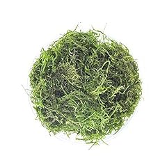 Substratesource flame moss for sale  Delivered anywhere in USA 
