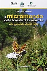 Micromondo delle foreste usato  Spedito ovunque in Italia 