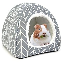 Tierecare guinea pig for sale  Delivered anywhere in USA 