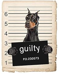 Doberman pinscher dog for sale  Delivered anywhere in USA 