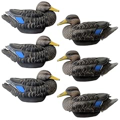 Black duck decoys for sale  Delivered anywhere in USA 