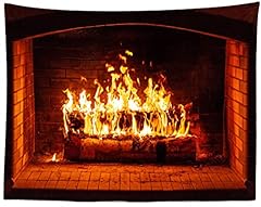 Loccor burning fireplace for sale  Delivered anywhere in USA 