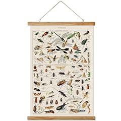 Ovfovy vintage insect for sale  Delivered anywhere in USA 