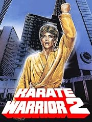 Karate warrior 2 gebraucht kaufen  Wird an jeden Ort in Deutschland