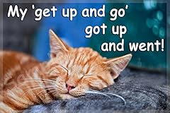 Funny cat flexible for sale  Delivered anywhere in UK