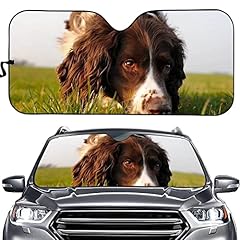 Cumagical springer spaniel for sale  Delivered anywhere in UK