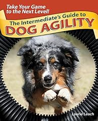 The intermediates guide d'occasion  Livré partout en Belgiqu