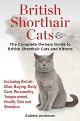 British shorthair cats for sale  Delivered anywhere in USA 