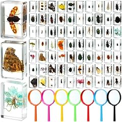 Lineshading pcs insect for sale  Delivered anywhere in USA 