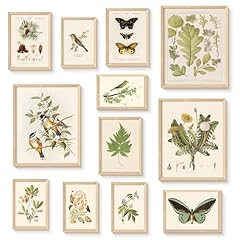 Bzstyleart vintage botanical for sale  Delivered anywhere in USA 