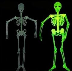 Halloween skeleton luminous for sale  Delivered anywhere in USA 