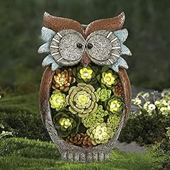 Jolie muse owl for sale  Delivered anywhere in USA 