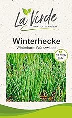 Winterhecke zwiebelsamen gebraucht kaufen  Wird an jeden Ort in Deutschland