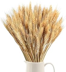 Minnhua 100pcs spighe usato  Spedito ovunque in Italia 