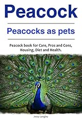 Peacock. peacocks pets. for sale  Delivered anywhere in USA 
