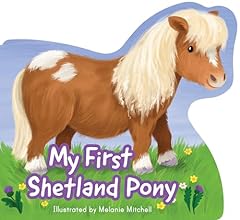 First shetland pony gebraucht kaufen  Wird an jeden Ort in Deutschland