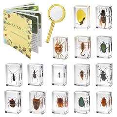 Insect specimens real for sale  Delivered anywhere in USA 